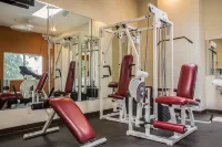 Comfort Inn & Suites Huntington Beach - نادي رياضي