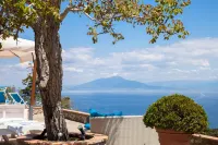 Suite Villa Carolina - Ocean View