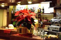 Hotel Vajolet Hotel a Campestrin