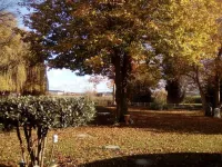 アヴレ ドゥ ペ オー ボール ドゥ ルー