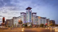 Hilton Dublin Airport - pet friendly