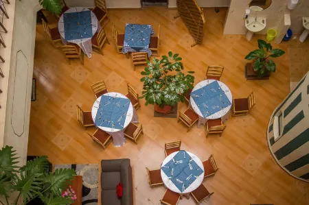 Chester Hotel Отели в г. Free Hold