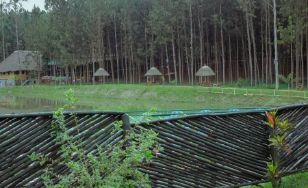 Nyungu Yamawe Forest Park