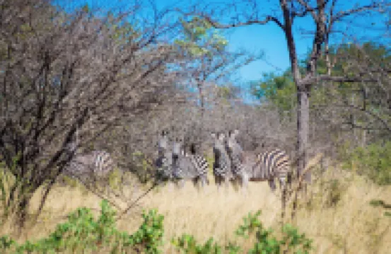 Dakeni Game Farm