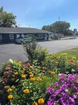 East Court Motel - WiFi