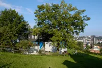St. Gallen Youth Hostel Hotel a 