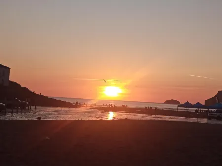 Cozy Courtyard Apt Explore & Relax Free Parking