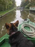 Stone - Boat - Sleeps 4 - Pet Friendly-85ws Hotel di Stone Rural
