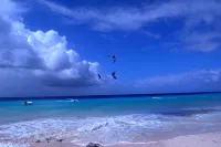 Best Beachfront Location. Spectacular ocean view. Luxury accommodations. - Beach