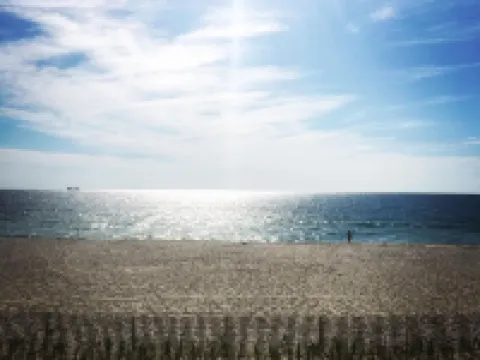 Private cottage at the entrance of Island Beach State Park Hotels in Berkeley