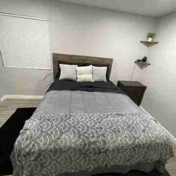 Cozy & Spacious / 3 Min Walk to Yale Hospital Rooms