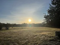 Country Farmhouse, Old Vineyard, Central AC, 2 King Beds.