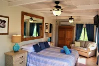 4 large bedrooms/4 full bathrooms. Pool/Beautiful Ocean views/hot tub. Cruz Bay! Hotels in 