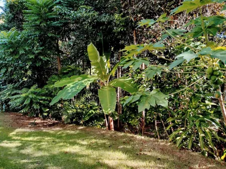 Cabana in Arraial d'Ajuda w/ Private Pool