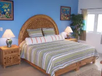 Luxurious Beachfront Retreat in Cozumel - Your Ultimate 4 Bdrm vacation haven!
