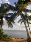 Private Pool and Swim up Bar-Immediately up the hill from Crashboat Beach!