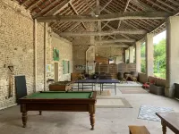 Les Vieilles Ombres - Pineau