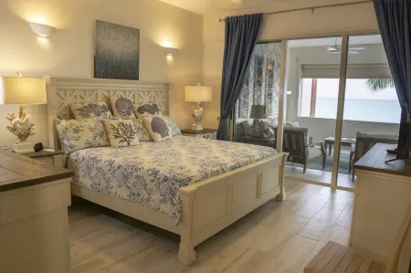 Il Punto Blu - Beautiful renovated condo, AC, WIFI, walkable restaurants/beach.