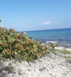 Serenity On The Bay1 - One Bed Apt Close to Supermarkets, Shops and Restaurants!