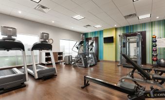 Holiday Inn Express & Suites Edinburg-Mcallen Area