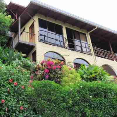 Breathtaking Ocean Vistas, Jungle Bliss, Walk to Eateries & Beach, Fast Internet Hotel Exterior