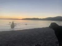 Cosy Lockwood cottage close to marina, beach and shop Hotels in Kinloch