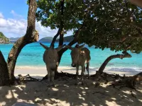 Nancy's Folly Villa - Fabulous Home - overlooking dazzling Rendezvous Bay