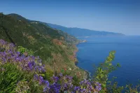 A Casa do Lagar In a peaceful and solitary area with a pleasant climate all year