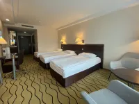 Ambasador Centrum Hotels near Robert Schweikert Palace