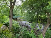 Whitfield Cottage فنادق في Bishop Auckland