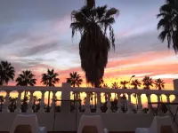 Endless Summer Hostel فنادق في أرونا