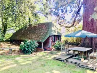 Otters' Green B&B Hotels near Southampton Airport Parkway Railway Station