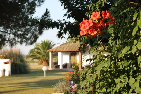 Hotel Mas des Barres