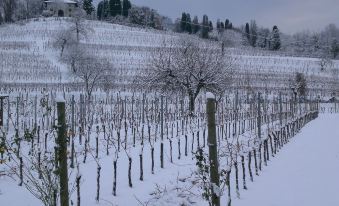 Agriturismo Giorgio Colutta