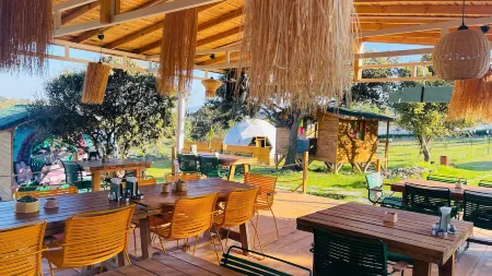 Bodrum Dome Suites Отели в г. Bitez