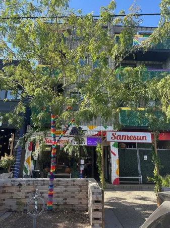 Samesun Toronto