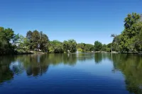 Ski, Shop and Explore Walkable Midtown Reno Oasis!