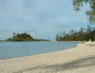 ซาเซ็น บูทิก รีสอร์ท - รีสอร์ท