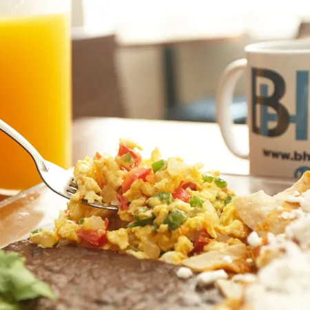 BH Business Hotel Group