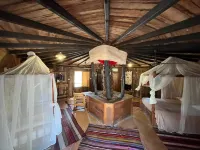 Dar Horchani Отели в г. Тозеер