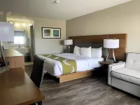 SureStay Plus by Best Western Alamogordo White Sands Các khách sạn ở 