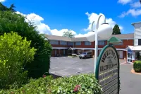 Katoomba Town Centre Motel