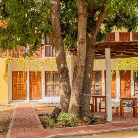 Casa Triz