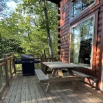 Firefly 3BR/3BA cabin with amazing views!