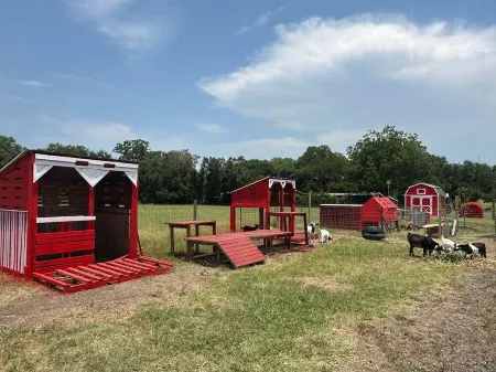 Geo DOME - King Bed - Flatonia Glamping & RV Resort Отели рядом с достопримечательностью «Tower 3»