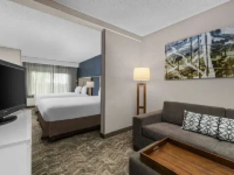 SpringHill Suites Minneapolis Eden Prairie Hotels in Eden Prairie