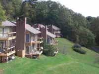Spacious Chalet on the Blue Ridge Parkway - Early Check-in and Late Check-out! Hotels in Patrick County