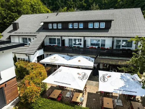Das Haus am See Hotels in Sinzheim