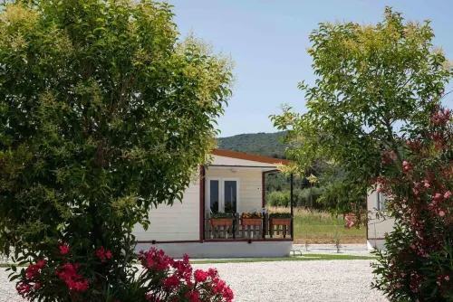 Bungalow with pool in a park-like garden by the sea! Hotels in Scarlino