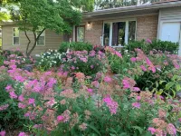 Charming 3-bedroom home in Mt Pleasant near colleges, Casino and children parks Hotels in Mount Pleasant